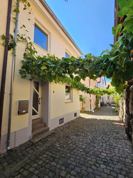 Casa Ciconia - Ueber Den Daechern Der Altstadt Freinsheim Zewnętrze zdjęcie
