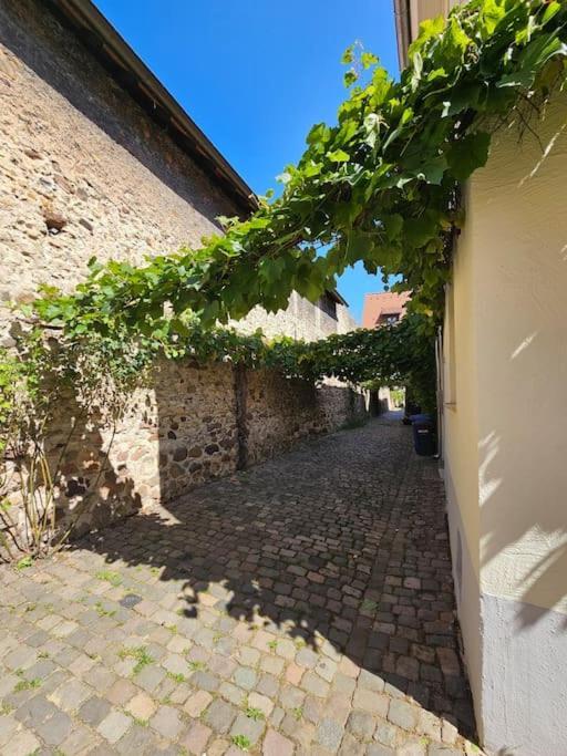Casa Ciconia - Ueber Den Daechern Der Altstadt Freinsheim Zewnętrze zdjęcie
